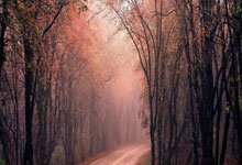 球友会：中超3轮积分榜：4队同积7分，国安跌至第7，4队未获首胜.