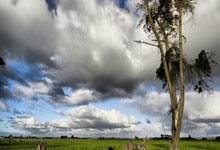 中田英寿：看足球小将让我走上职业道路；退役因想做喜欢的事.